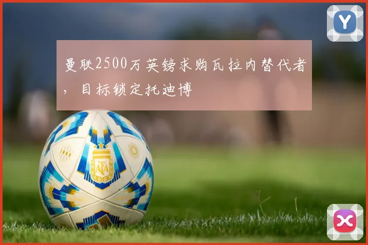 曼联2500万英镑求购瓦拉内替代者，目标锁定托迪博